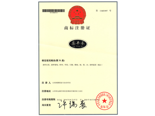 商標(biāo)注冊(cè)證
