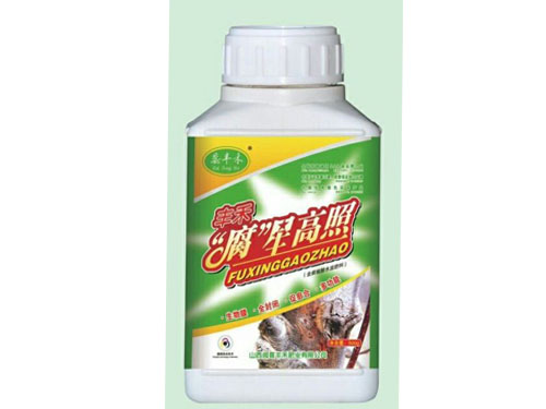 腐星高照