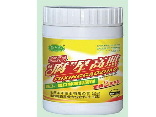 腐星高照2代