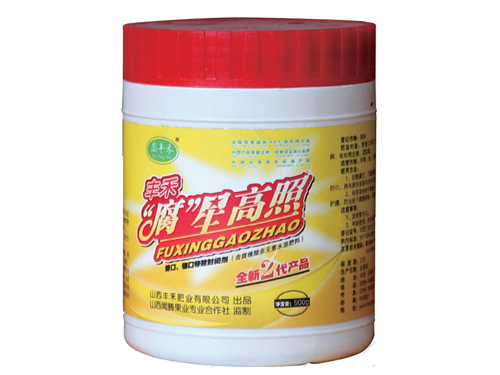 腐星高照二代